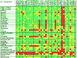 anemone compatibility chart blood parrot fish compatibility