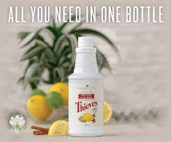 If you're like us, there are about a million things you'd rather do than clean your bathroom. Thieves Household Cleaner