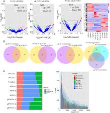 Les mains de bouddha, galerie anne de villepoix, paris ; Differential Circrna Expression Profiles In Pk 15 Cells Infected With Pseudorabies Virus Type Ii Springerlink