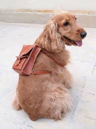 Black And Tan Cocker Spaniel For Sale Los Angeles A Personalized Dog Backpack For All Of Your Puppy S Stylish And Organizational Needs Etsy Dog Backpack Dog Person Baby Dogs