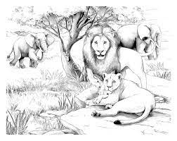 Super coloring free printable coloring pages for kids coloring sheets free colouring book illustrations printable pictures clipart black and white lions tigers color page free printable coloring sheets for kids. Pin On Kleurplaten
