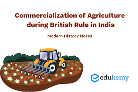 Commercialization of Agriculture During ...