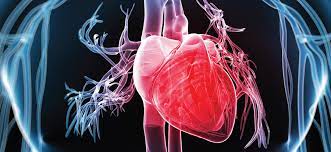 Acute myocardial infarction, coronary vasospasm, zolmitriptan. Do Enfarte Agudo Do Miocardio Ao Assumir Da Doenca Forum Hospital Do Futuro