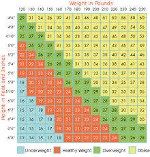 Body Mass Index Chart For Youth Regular Bmi Chart Bmi Weight