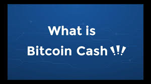 The average price of one bitcoin cash briefly reached approximately 600 u.s. Bitcoin Cash Bch Historical Prices Coinlore