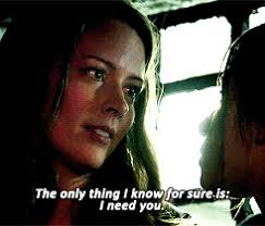 worlds enough and time — I'm sorry but aren't both root and shaw straight??