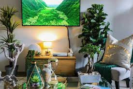 Se ven increíbles en el baño. Como Decorar Una Sala De Estar Con Plantas Decoristas