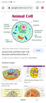 Check spelling or type a new query. Discover Safety Health Banners Getdp