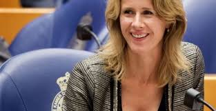 She has been state secretary for economic affairs and climate policy in the rutte iii cabinet since 26 october 2017. Cda Bijeenkomst De Wmo Voor Gezinnen Met Mona Keijzer