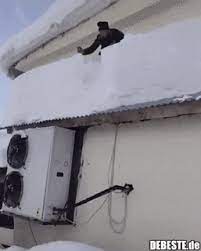 Lustige bilder gif bir gönderi paylaştı. Joa Der Schnee Ist Weg Schnee Bilderwitze Bilder