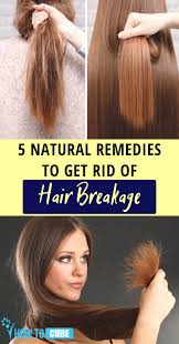 5 Natural Remedies To Get Rid Of Hair Breakage Howtocure The Sight Of Hair Breakage Is Horrific Eno Stop Hair Breakage Hair Breakage Remedies Hair Breakage