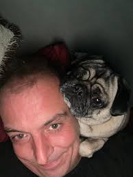A grumble of pugs squeezing onto their bed!