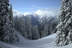 It is also the first time that an olympic park has been built for hosting winter games. Visiting In Winter Olympic National Park U S National Park Service