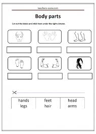 To complete the word search, students should find the body part names in the grid and then check off the words at the bottom of the worksheet once they have found them. Free Body Parts And 5 Senses Worksheets Teacher S Zone