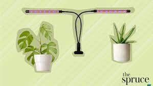 Best led grow light for 2 plants. The 7 Best Grow Lights Of 2021