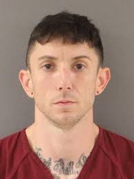 Knoxville man facing slew of drug, gun charges after I-40 pursuit