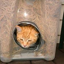 Check out our outdoor cat shelter selection for the very best in unique or custom, handmade pieces from our pet houses shops. 10 Awesome Outdoor Cat House Ideas For Feral Felines