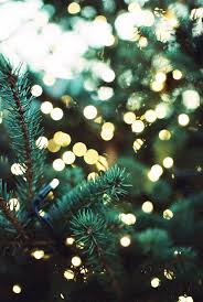 Can Anyone Start A Christmas Light Installation Business Christmas Aesthetic Christmas Wallpaper Christmas Lights