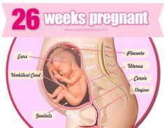 Pregnancy ends at 20 weeks have to give birth to it. 26 Weeks Pregnant