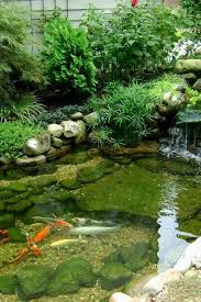 bassin de jardin avec koi bassin de jardin amenagement jardin bassin jardin d eau