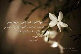 pin on الياسمين