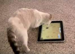 Bueno, estoy aquí para decirte que dejar que tus gatos jueguen con los juguetes para gatos del ipad es lo más divertido que vas a tener este mes. Juegos De Ipad Para Gatos No Puedo Creer