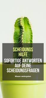 With cactus tefl you can compare celta courses, trinity certtesol courses and online tefl courses in over 90 destinations worldwide. Lerne Wie Man Sich Verabredet