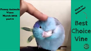 Modul indicativ este un mod personal (predicativ) care exprimă o acțiune prezentată de vorbitor ca fiind reală. Precizeaza Si Arata Modul Prin Care S Au Format Cuvintele Subliniate In Text Dogorite Lung Va Rog Brainly Ro