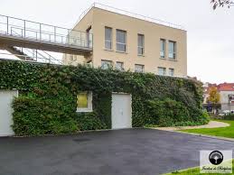 Epingle Sur Facade Vegetal