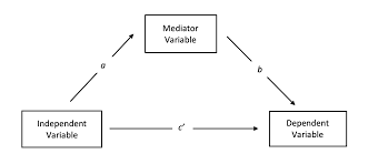 It is important to plan this section carefully as it may contain a large amount of scientific data that needs to be presented in a clear and concise fashion. Mediation Statistics Wikipedia