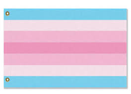 Games/videos feturing lgbtqia+ characters, relationships, etc. Transfeminine Pride Flagge Transgender Lgbtq Lgbtqia Lgbtqx Trans Rights Equality Ebay