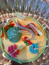 We did not find results for: Animal Cell Out Of Candy Simple 3d Animal Cell Project Animal Cell School Project Ideas How To Make An Animal Cell Animal Cells Model Animal Cell Project