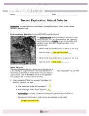 You are a bird hunting moths (both dark and light) that live on trees. Copy Of Natural Selection Gizmo Worksheet Name Date Student Exploration Natural Selection Vocabulary Biological Evolution Camouflage Industrial Course Hero