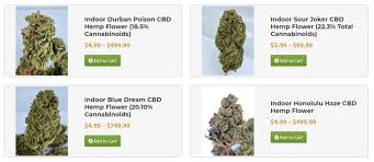What Is Hemp Flower Everything You Need To Know About Cbd Buds Great Hemp Usa