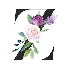 26pcs englische alphabet buchstaben briefmarken (a bis z). Watercolor Art Painting Letter Z With Flowers And Leaves Floral Alphabet Elements White Stock Photo 336818216