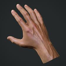 Hand 02 Jpg651d3c9c 63c2 4116 A118 A6ea376c2640original Jpg 1200 1200 Male Hands Hand Reference Realistic
