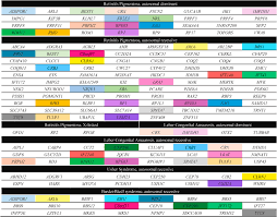 Image result for Eye Rest Green 1972 Hussmann