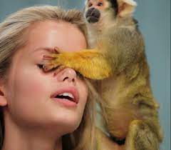 Pin By Laura Violetta On To Do Silly Animals Animals Photo