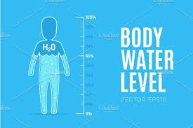 Body Water Level Body Infographic Templates Water