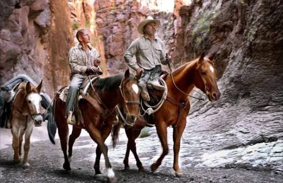 The Three Burials of Melquiades Estrada (2005) Movie Review from Eye for  Film