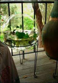 Fish Bowl And Plant Stand Terrarium Indoor Water Garden Water Terrarium Indoor Plants