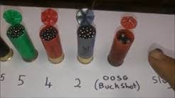 12 Gauge Ammo Size Chart 12 Gauge Ammo