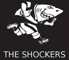 Known as the carcharhinus leucas in the scientific community, it has a it seems the bull shark favors the atlantic, indian, and pacific oceans. Stormers Is It A Blog Is It A Website