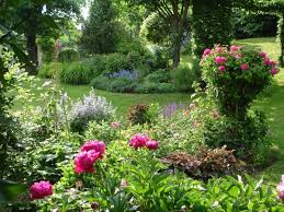 Jardin Plants Deco Design