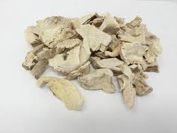 Image result for Xysmalobium