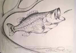 Maybe you would like to learn more about one of these? Largemouth Bass Spots A Potential Meal Pencil Sketch Drawing Fish Art Fish Drawing Fish Sketch Bass Art Www Etsy Com Fish Sketch Fish Drawings Drawings