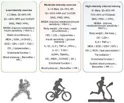 Image result for Higher Integrative Function