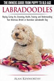 Check spelling or type a new query. Labradoodles The Owners Guide From Puppy To Old Age For Your American British Or Australian Labradoodle Dog Kenworthy Alan Amazon De Bucher
