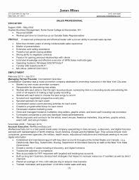 lovely electronics sales resume sle for