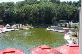 Apele si namolul sunt folosite in tratamente reumatice, neuromotorice si ginecologice. Hotel Strand Ocna Sibiului Romania